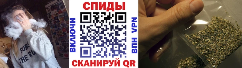 shop наркотические препараты  Грязовец  БУТИРАТ бутандиол  мега ТОР 
