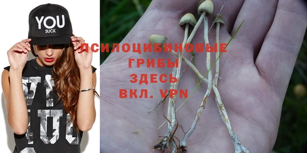 бошки Алексеевка