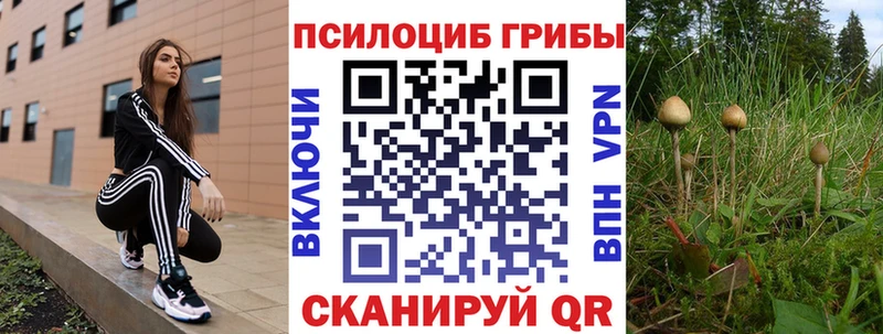 Псилоцибиновые грибы MAGIC MUSHROOMS мориарти наркотические препараты Грязовец