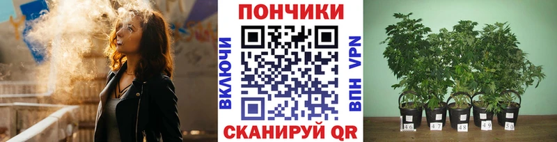 Конопля VHQ  нарко площадка клад  Грязовец 